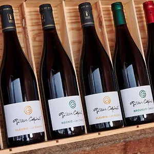 Couette-café Les Glycines - Domaine Gilles Coperet, Régnié